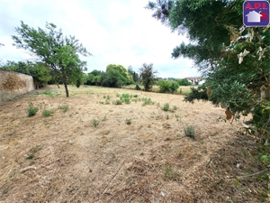terrain à la vente -   11420  BELPECH, surface 0 m2 vente terrain - API423947